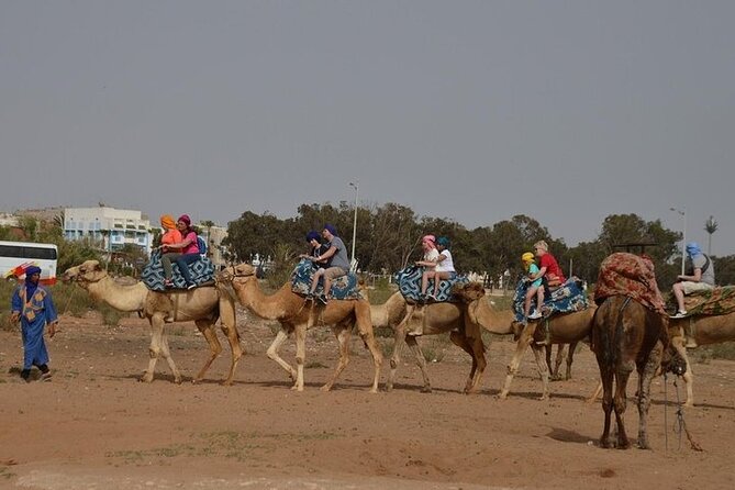 Agadir Camel Ride Experience - Safety Guidelines