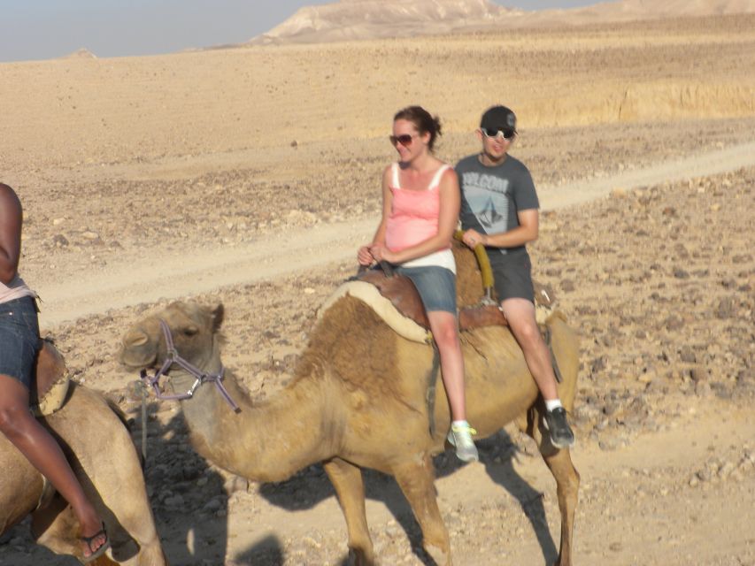 Agadir Camel Ride Flamingo River & BBQ Dinner - Common questions