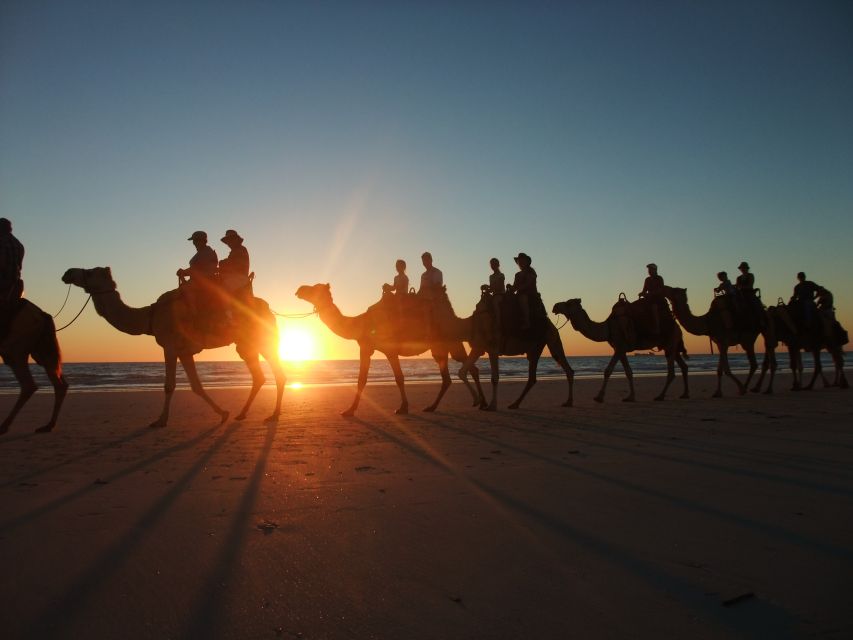 Agadir: Camel Ride With Tea & BBQ Dinner Option - Languages Available