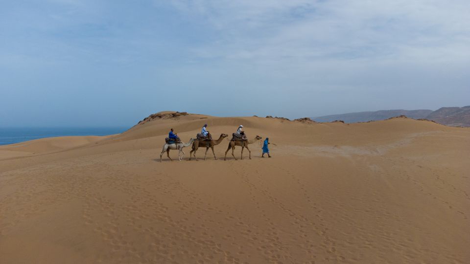 Agadir: Flamingo River Sunset Camel Ride With BBQ Diner - Experience Highlights