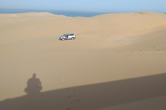 Agadir Half Day Private Tour to Sahara and Tifnit - Tour Inclusions