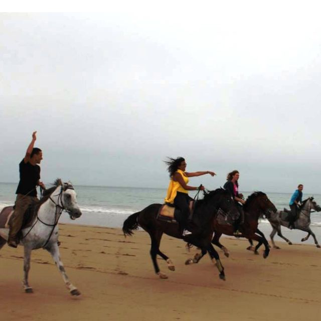 Agadir Horse & Quad Bike Tour With Transfer - Last Words