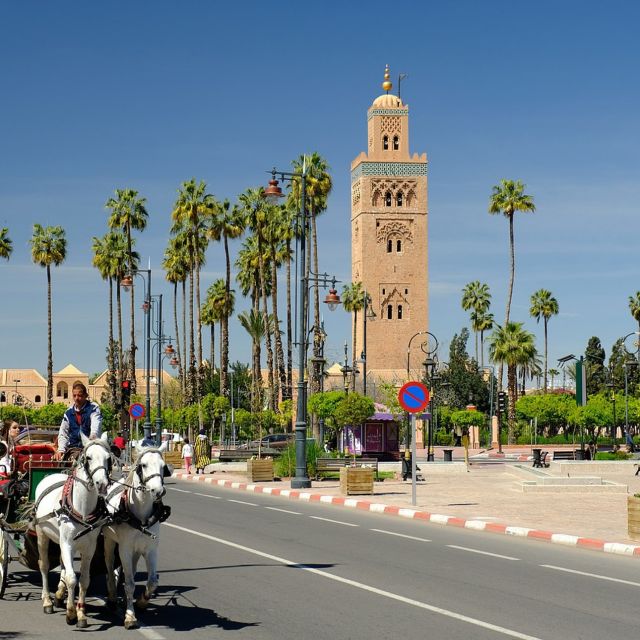 Agadir: Marrakech Day Trips With Professional Guide - Professional Guide Services