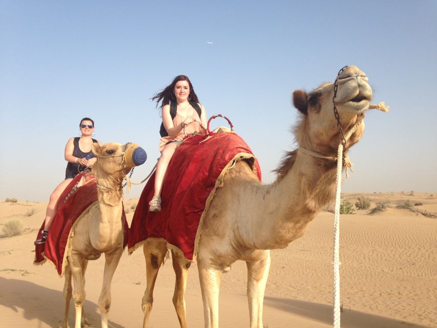 Agadir or Taghazout: Camel Ride Experience - Common questions