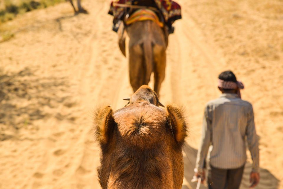 Agadir or Taghazout: Camel Riding and Flamingo River Tour - Common questions