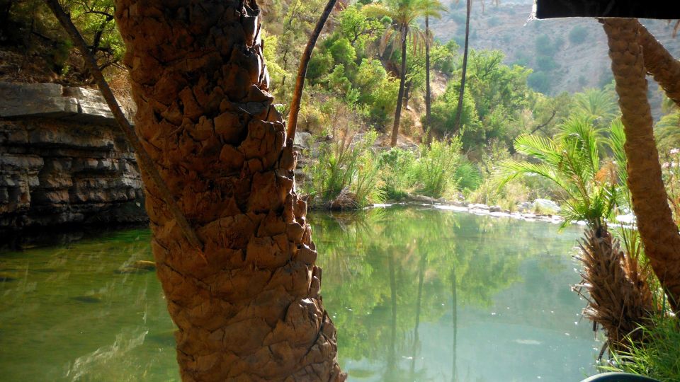 Agadir : Paradise Valley Trek & Spa Experience - Common questions