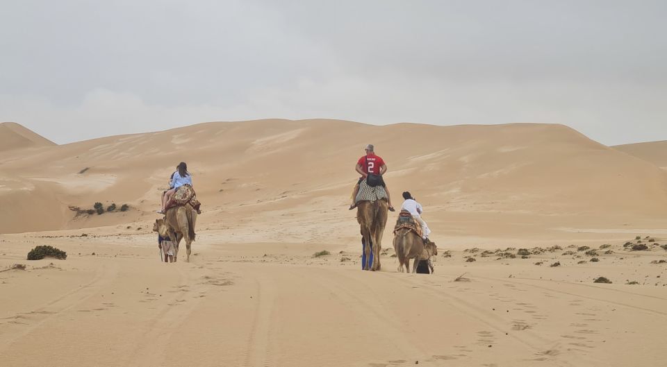 Agadir: Sahara Desert Camel Ride & Sandboarding Halfday Trip - Common questions