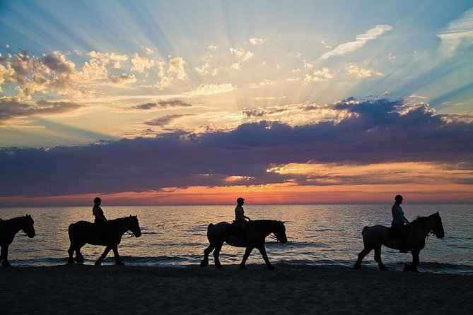 Agadir Small-Group Horseback Ride With Hammam - Pricing Information