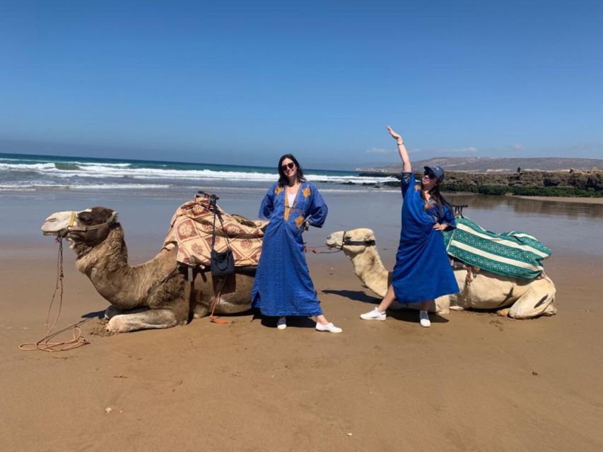 Agadir/Taghazout: Camel Ride on the Beach - Meeting Point Details