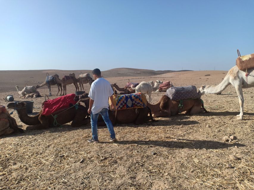 Agafay Desert Camel Ride With Lunch - Free Cancellation Policy