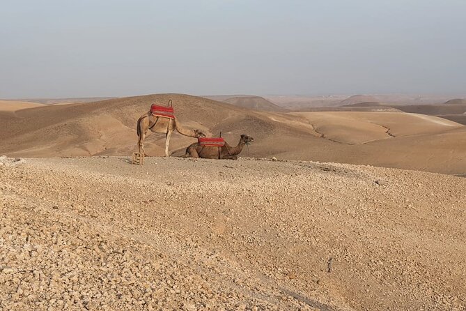 Agafay Desert - Tips and Recommendations