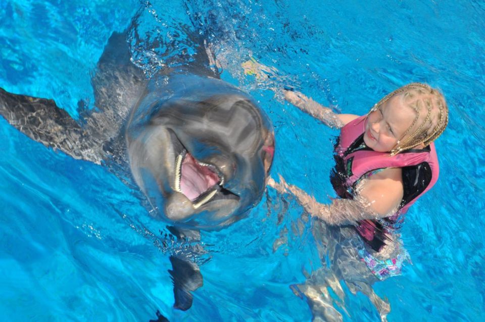 Alanya Dolphin and Seal Show: Magical Adventure - Last Words