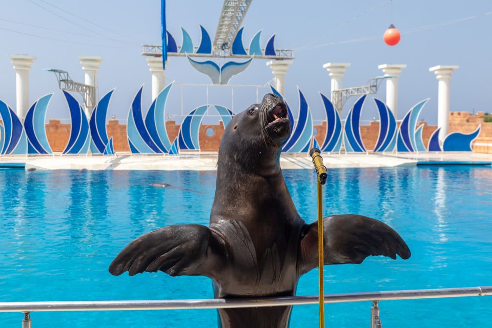 Alanya Dolphin Show Tour - Sealanya Dolphinpark - Cancellation Policy