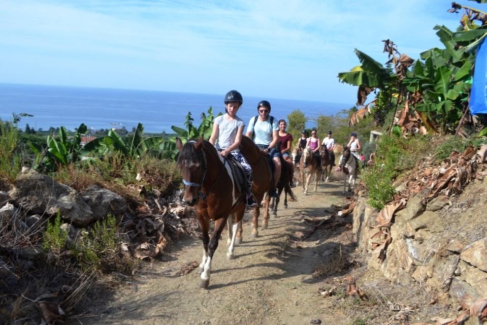 Alanya Horse Riding : Scenic Trails & Coastal Views - Connecting With Nature and Horses