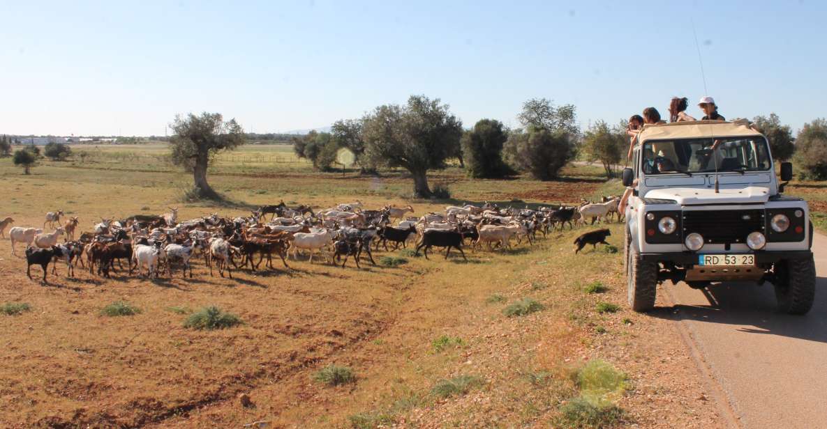 Algarve Jeep Safaris Fullday Tour. Explore Algarve - Experience Algarve: Inland and Coastal Exploration