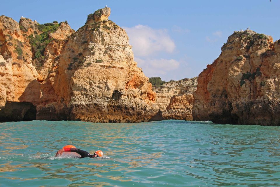 Algarve: Open Water Swimming - Experience Highlights and Techniques