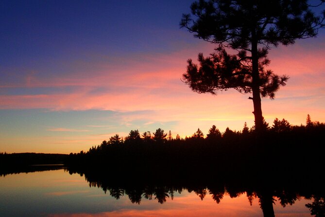 Algonquin Park Luxury 3-Day Camping & Canoeing: Moose/Beaver/Turtle Adventure - Algonquin Nature Adventures Focus