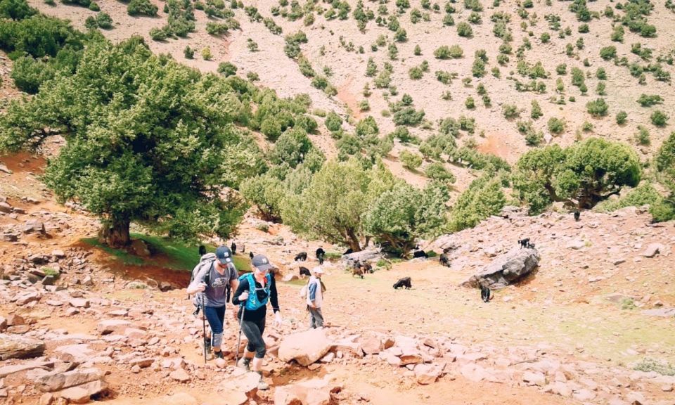 All-Inclusive 2 Days Hiking in the Atlas Mountains - Live Tour Guide Information