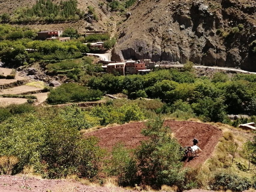 All-Inclusive Atlas Mountains & Agafay Trip With Camel Ride - Meeting Point Details