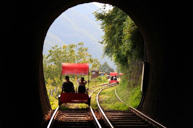 Alpaca World and Nami Island With Gangchon Rail Bike Tour - Last Words