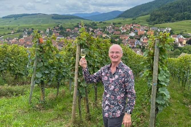 Alsace Private Half-Day Wine and History Tour From Basel - Last Words