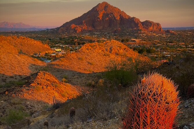 Amazing 2-Hour Guided Hiking Adventure in the Sonoran Desert - Weather Considerations and Rescheduling