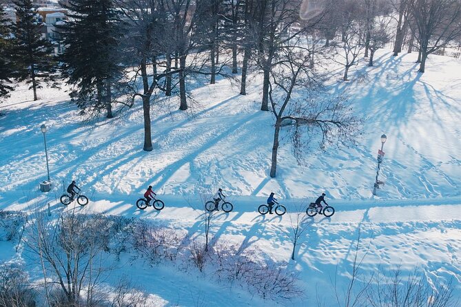 Amazing Winter Guided Biking Adventure in Old Quebec - Customer Reviews and Ratings