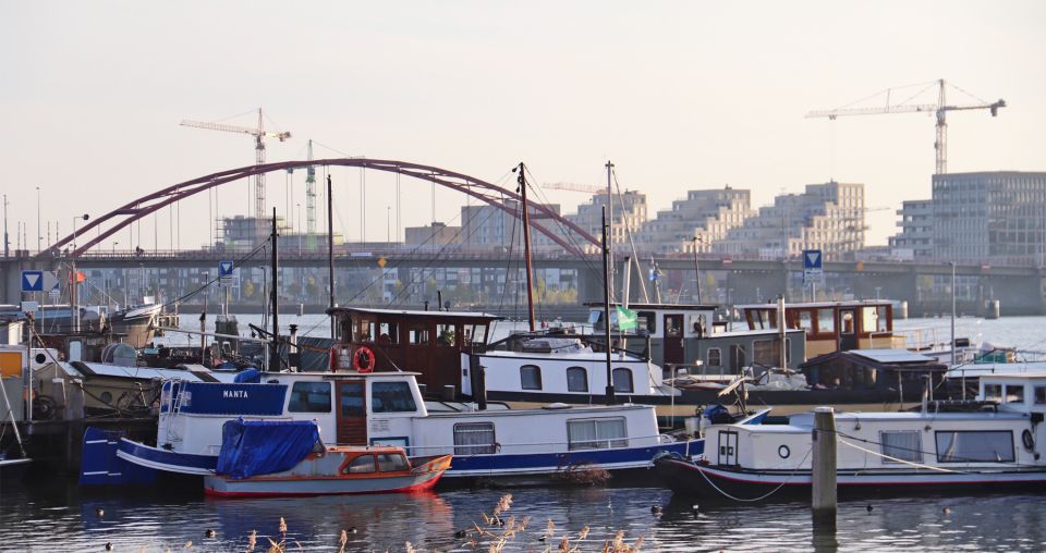 Amsterdam: Bike Tour (Noord) in German or English - Language Options