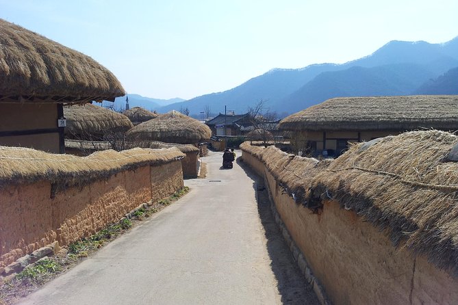 Andong Hahoe Village [Unesco Site] Premium Private Tour From Seoul - Traveler Reviews and Ratings