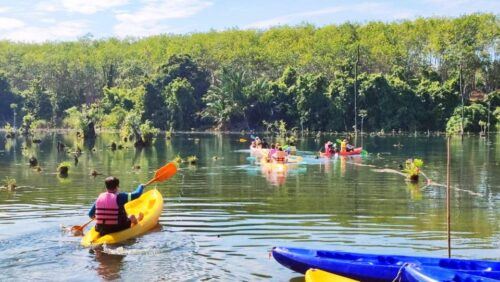 Ao Nang : Kayaking at Klong Rud - Swim in Mangrove Forest