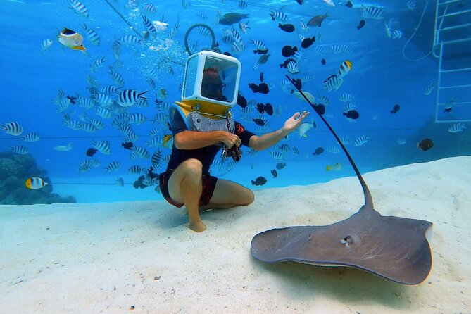 Aqua Safari Introductory Helmet Dive (Underwater Walk) - Additional Information and Booking Details