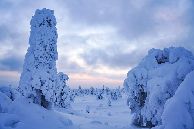 Arctic Adventure Through Magical Frozen Forests of Riisitunturi - Common questions