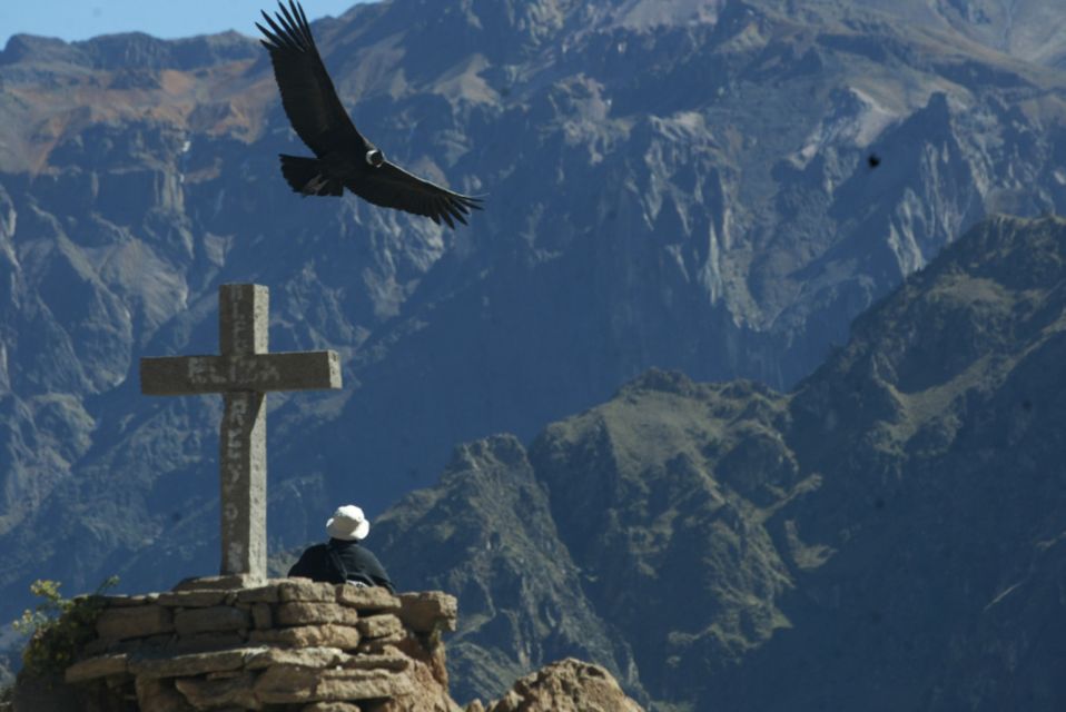 Arequipa & Colca Canyon Multi-Day Tour - Last Words