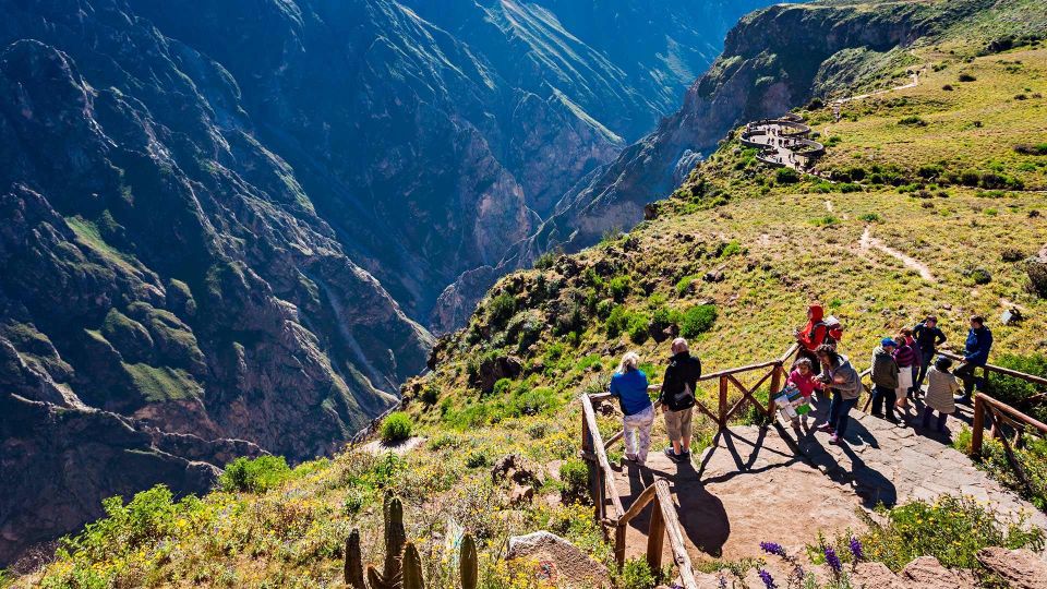 Arequipa: Excursion to the Colca Canyon Ending in Puno - Excursion Highlights