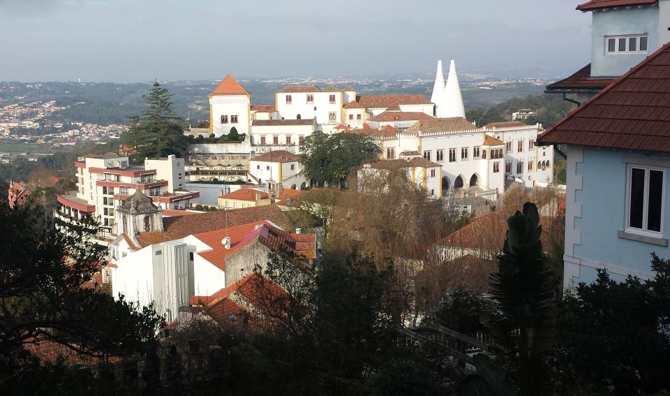 Arrábida and Sintra: Full-Day Private Wine Tour - Cancellation Policy