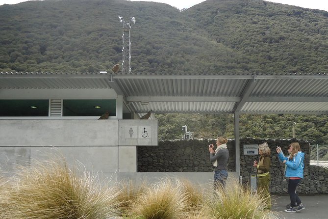 Arthurs Pass and Southern Alps Day Excursion From Port Lyttelton or Christchurch - Meeting Point