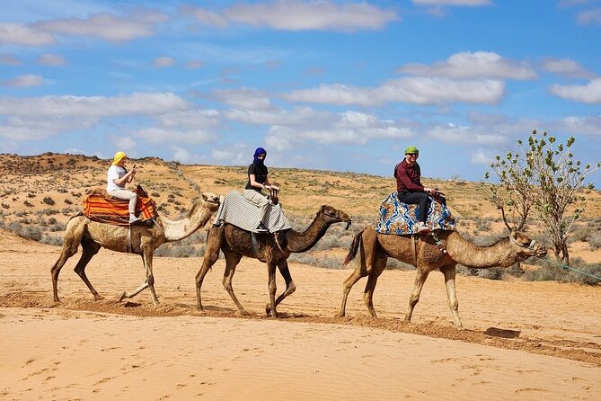 Atlantic Sahara and Ocean 4x4 Jeep Tour With Berber Lunch - Common questions