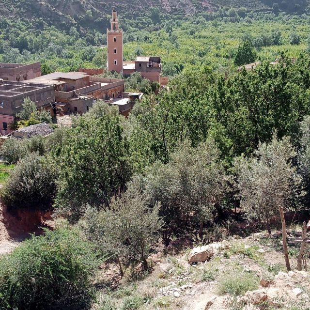 Atlas Mountain and Berber Villages Day Tours From Marrakech - Tour Directions