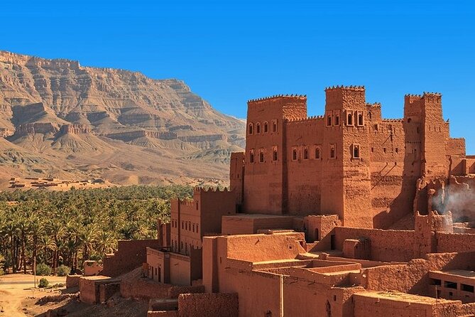Atlas Mountain Day Trip From Marrakech Watrefall, Camel Ride - Camel Ride Experience