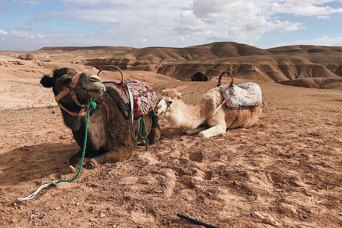 Atlas Mountains, Imlil Valley, Waterfalls, & Camel Ride Day Trip From Marrakech - Common questions