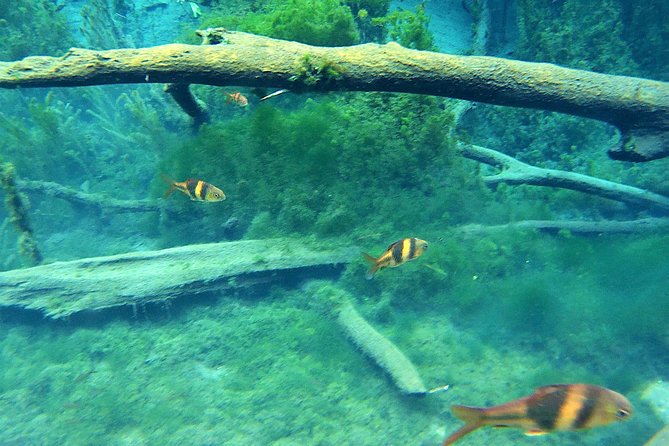 ATV & Kayaking in Hidden Freshwater Lagoon, Unseen Krabi Half Day Trip - Safety Measures