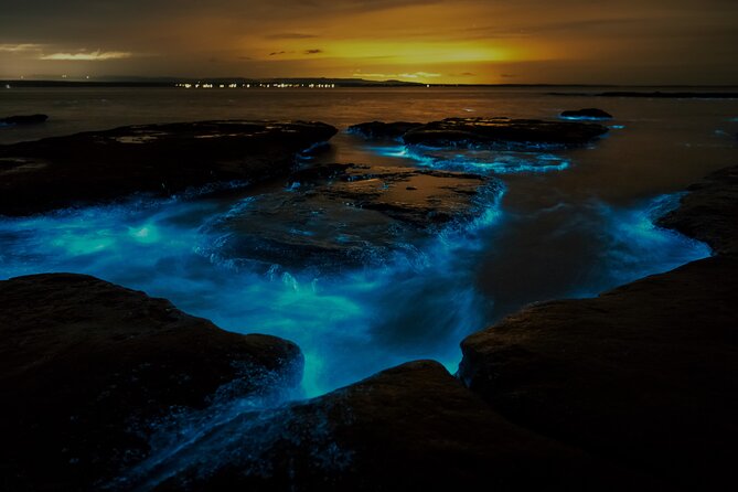 Auckland Bioluminescence Kayak Tour - Common questions