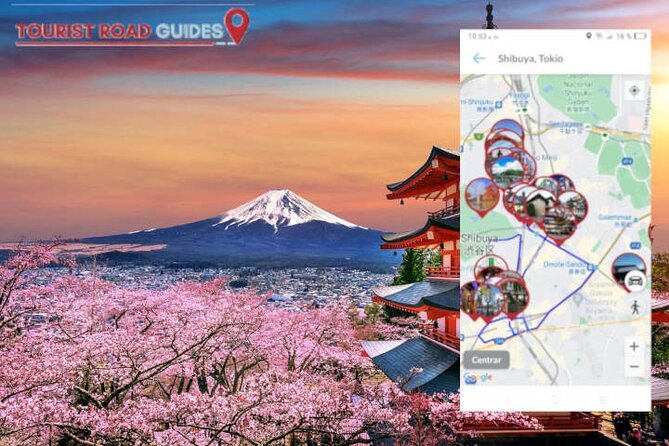 Audio Guide App Japan Tokyo Kyoto Takayama Kanazawa Nikko and Others - Last Words