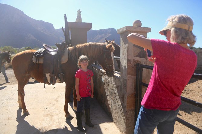 Authentic Horseback Riding in Beautiful La Mision - Transportation and Directions