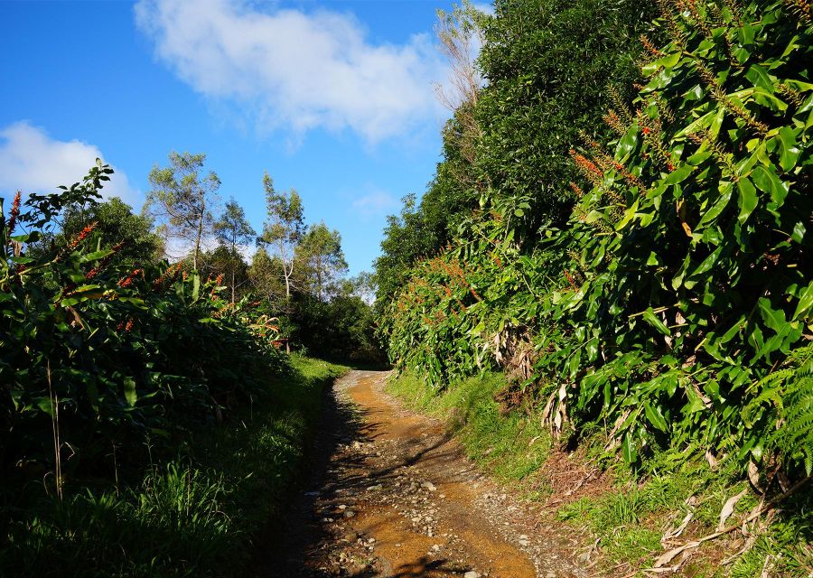 Azores: São Miguel and Lagoa Do Fogo Hiking Trip - Tour Exclusions