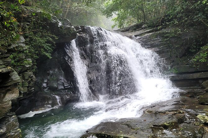 Bach Ma National Park Trekking Daily Tour From Hue - Traveler Tips