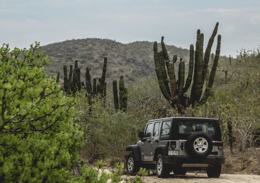 Baja Jeep Tour to Santiago From Los Cabos: Drive or Ride - Tour Preparation