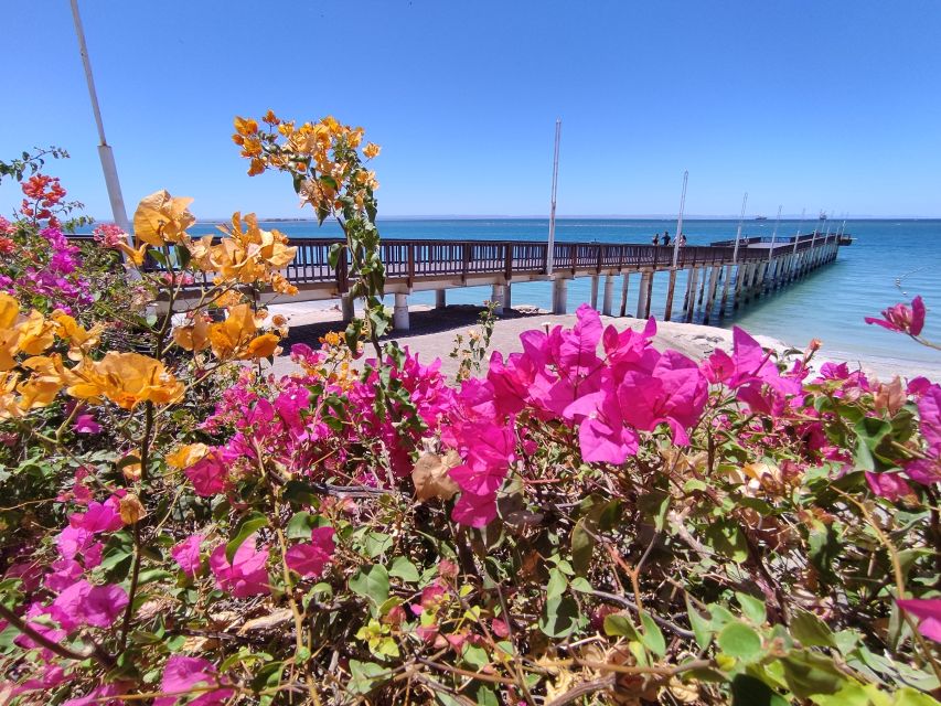 Balandra Beach and City Tour - Live Tour Guides