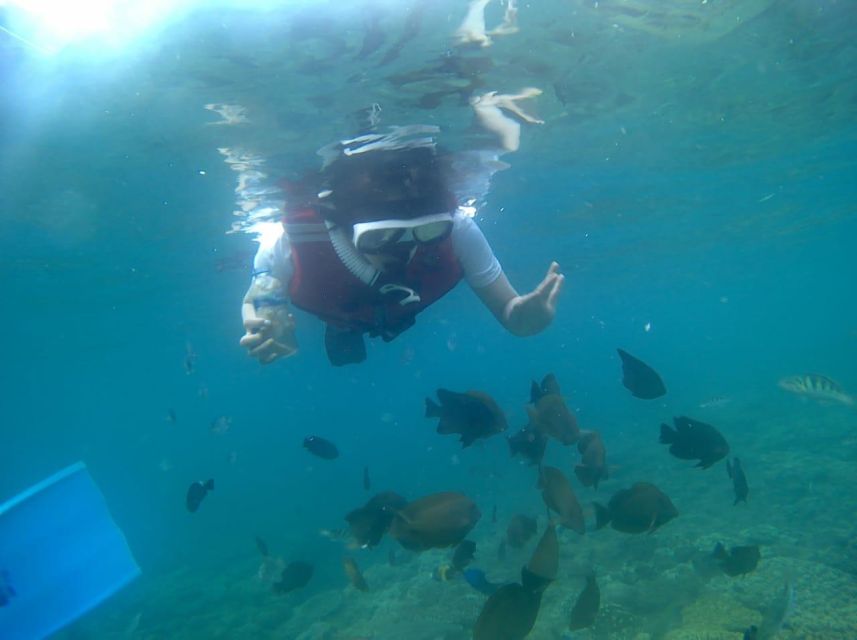 Bali: Blue Lagoon And Tanjung Jepun Snorkeling Trip - Clear Waters