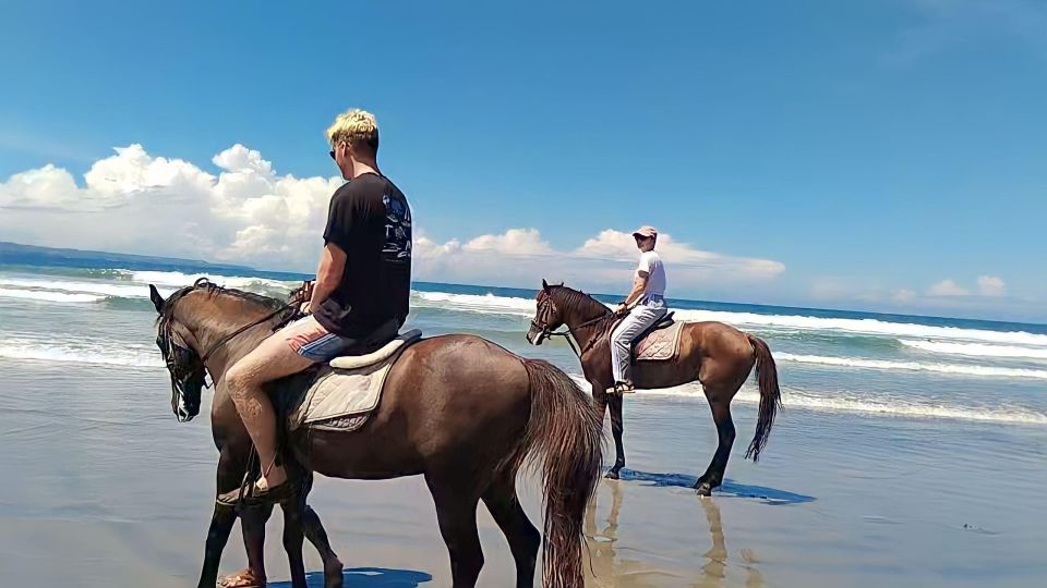 Bali: Horse Riding Seminyak Beach 1 Hour Experience - Customer Testimonials